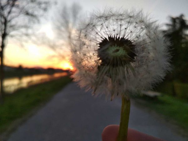 IMAGE-2019-05-25-111447p